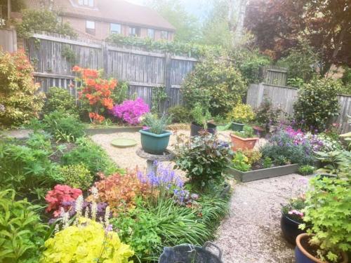 Planting and Garden Maintenance